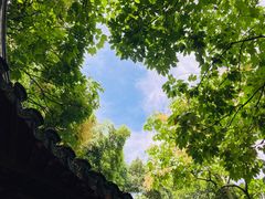 -秋霞圃
