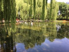 -玲珑塔公园