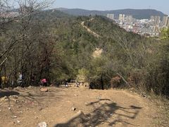-青龙山国家森林公园