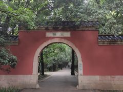 -灵谷景区