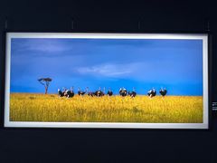 -罗红摄影艺术馆