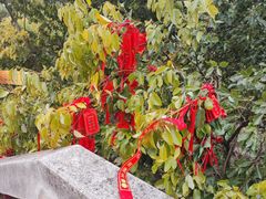 -狼山风景名胜区