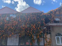 -海韵人家.海景花园经典云南菜(双廊店)