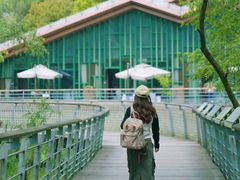 -西湖风景区-江洋畈生态公园