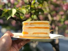 -Mnemosyne尼莫西妮(香港城店)