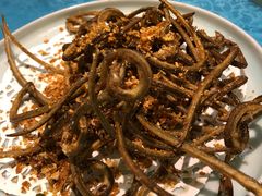 -御唐府海珊瑚主题餐厅