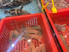 -79号渔船海鲜饭店(宝安店)