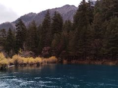 -九寨沟-树正沟