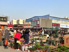 -中环花鸟鱼虫市场