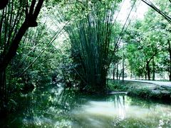 -大屏嶂森林公园
