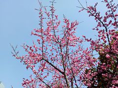 -天鹅湖体育公园