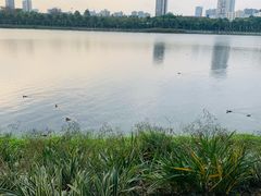 -南宁南湖公园