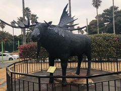 -信不信由你博物馆