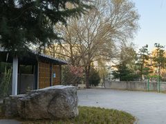 -南长河公园