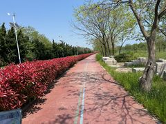 -青岛银沙滩
