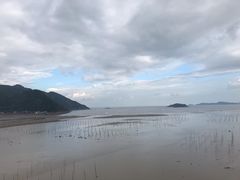 -北岐滩涂