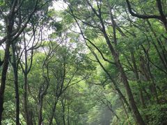 -梧桐山风景名胜区