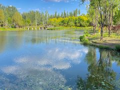 -东郊湿地公园