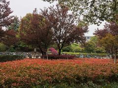-江南大学(蠡湖校区)