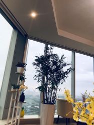 -久匠半永久纹眉