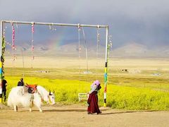 -青海湖国家重点风景名胜区