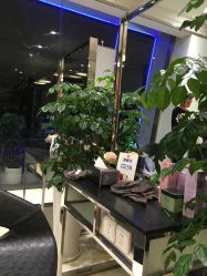 -京世沙龙