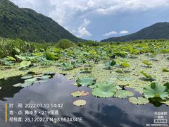 -腾冲北海湿地