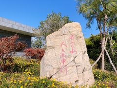 -洱海月湿地公园