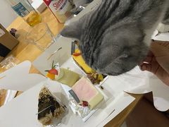 -甜莺蛋糕(顺盈时代广场店)