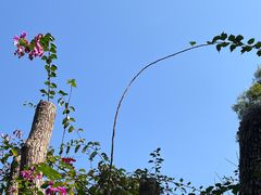 -福道