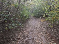 -淇河国家湿地公园