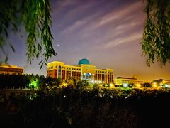 -南开大学滨海学院