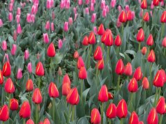 -玄武湖景区-情侣园游乐场