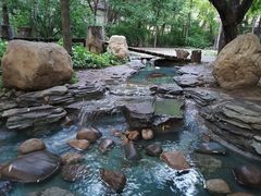 -大鹅岛绿色生态美食园