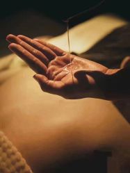 -隐逸SPA