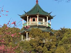 -无锡梅园公园