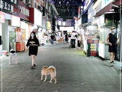 -江大后街