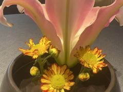 -喜湘宴·精致湖南菜(和平西桥店)