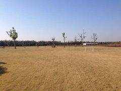 -明珠湖天鹅苑·农家菜馆