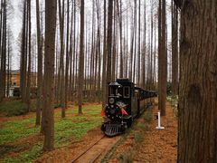 -黄海国家森林公园