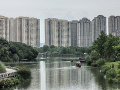 -三垟湿地