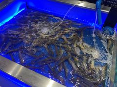 -SEA西雅图海鲜自助餐厅(正义店)