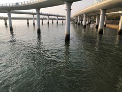 -演武大桥观景平台