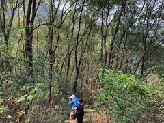 -涂山寺素食餐厅