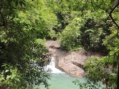 -广州白江湖森林公园