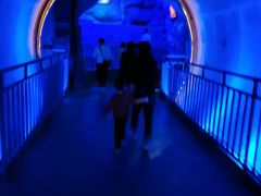 -郑州方特梦幻王国