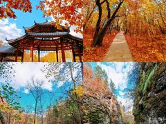 -茅兰沟国家森林公园