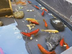 -徽韵人家·传承正宗徽菜(牡丹园店)