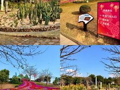 -东莞植物园