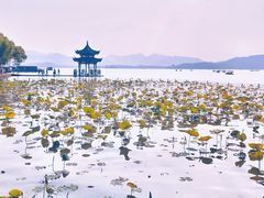 -西湖外事游船(湖滨二公园外事游船码头)